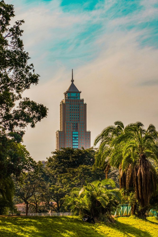 A Nairobi tower seen from a leafy park