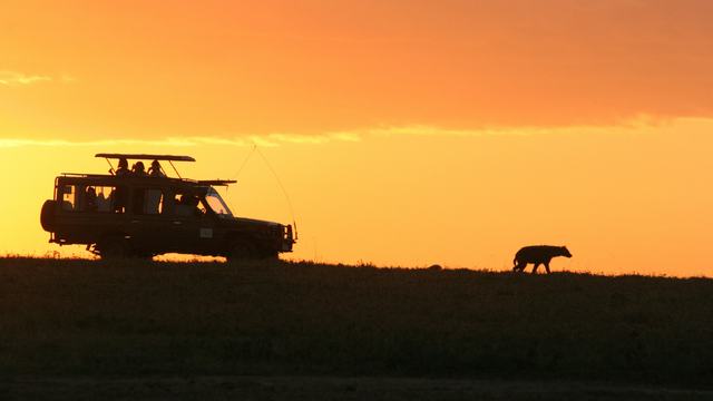 Safari vehicle silhouetted at sunset